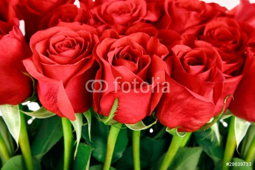 bouquet of red roses - 900032646