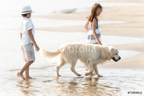 Boy with girl walking along the shore of the lake with a dog - 901144120