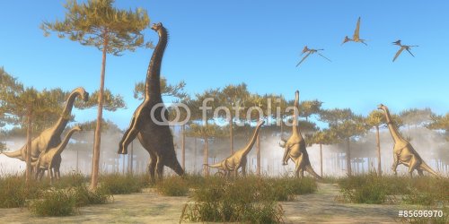 Brachiosaurus Browsing - 901145252