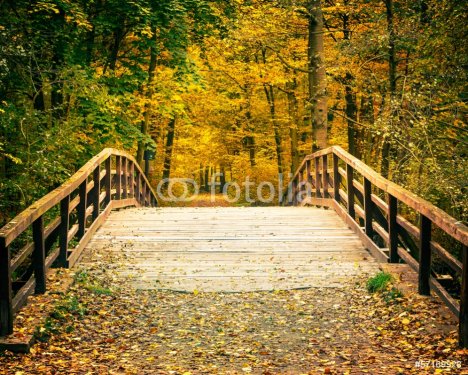 Bridge in autumn park - 901140644