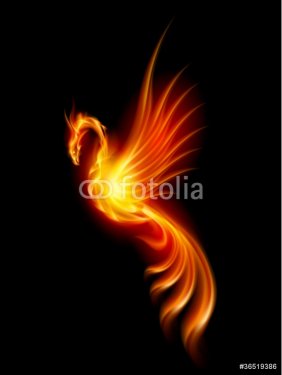 Burning phoenix - 900497205