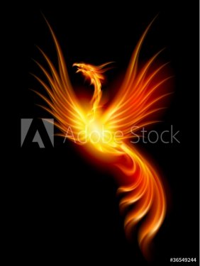 Burning phoenix