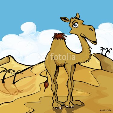 Cartoon Camel - 900497777