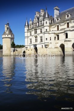 castello di Chenonceau valle della Loira