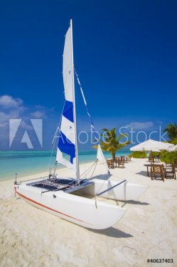 catamaran at the beach - 900423004