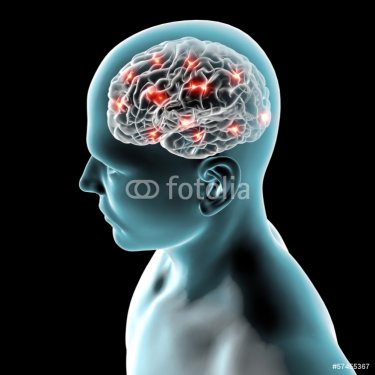 Cervello neuroni sinapsi - 901145814