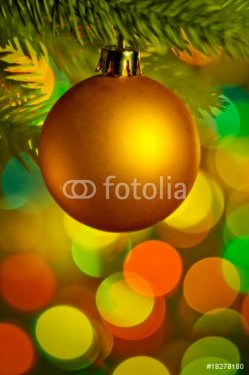 Christmas fir tree with colorful lights close up