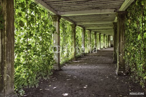 colonnade with the old columns covered with ivy