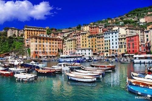 colors of  sunny Italian coast - Camogli, Liguria - 900524895