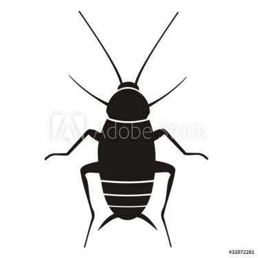 Cucaracha - 900458615