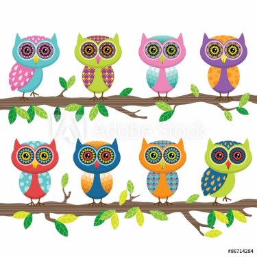 Cute Owl Collection Set