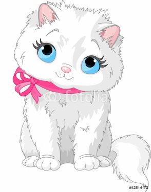 Cute white cat - 900497842