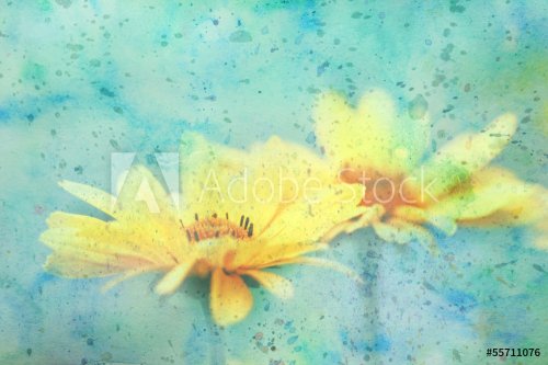 cute yellow daisies and watercolor splatter - 901143009