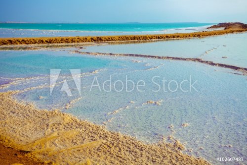Dead sea salty shore