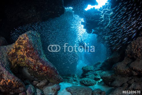 Diver in Underwater Cavern - 901151102