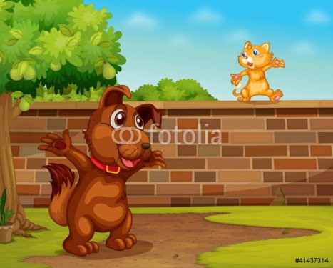 Dog and cat - 900460670