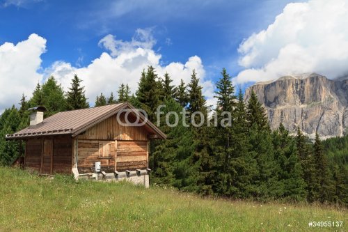 Dolomiti, fienile nella radura - barn on pasture - 900375182