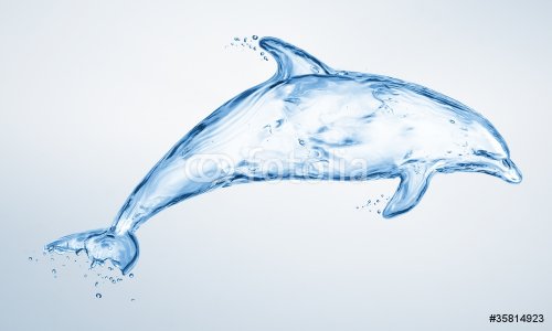 dolphin made out of water splashes - 900437102