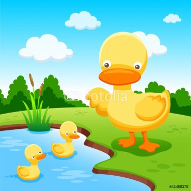 Ducks - 900607694