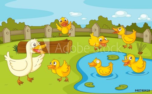 Ducks at the pond - 900455882