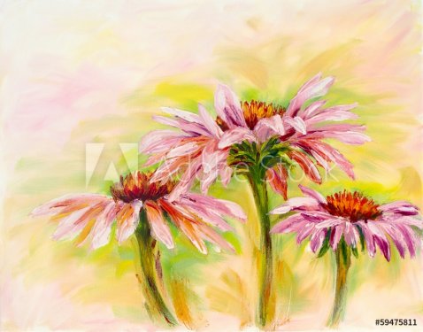 Echinacea, oil painting - 901142970