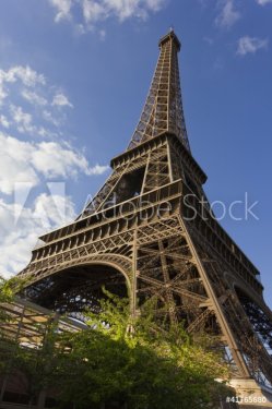 Eiffel Tower - 900440029