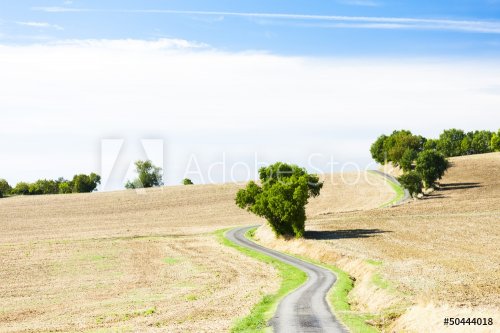 field with a road, Gers Department, France - 901138336