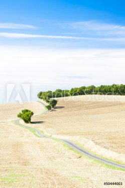 field with a road, Gers Department, France