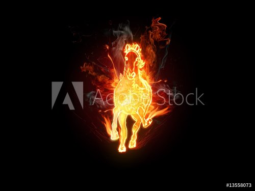 Fiery stallion. Horse - 900458808