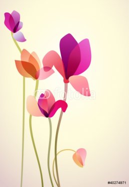Five bright wild flowers - 900468067