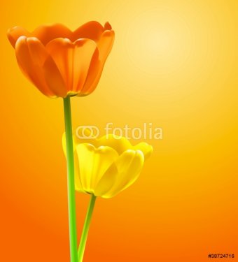 Flower background, vector tulips - 900622639