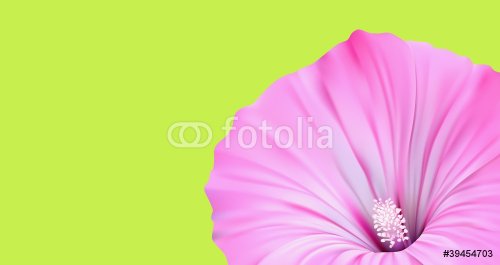 Flower Banner Nature Design - 900622693