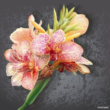 Flowers like orchids. - 901140422