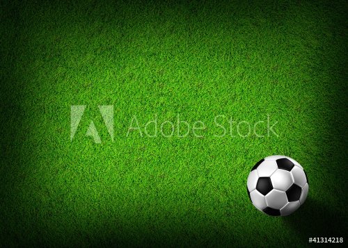 football in green grass - 900498437