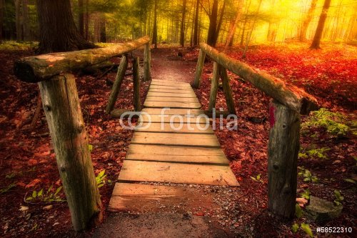 Footbridge path through woods in magical light - 901141478