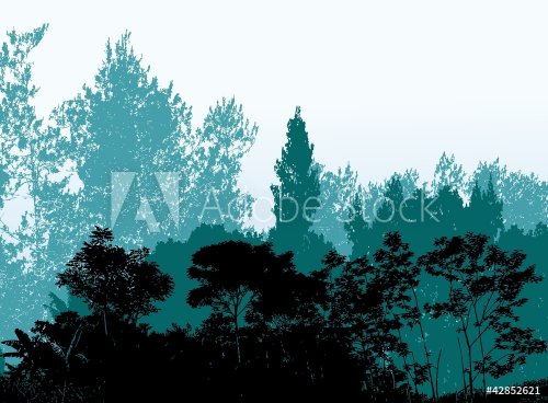 forest silhouette background - 900465899