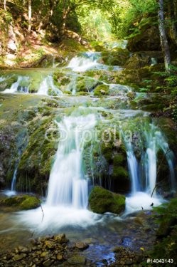 Forest Waterfall