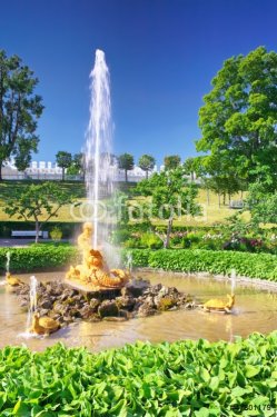 Fountain Greenhouse fountain  in Pertergof, Saint-Petersburg - 901100822