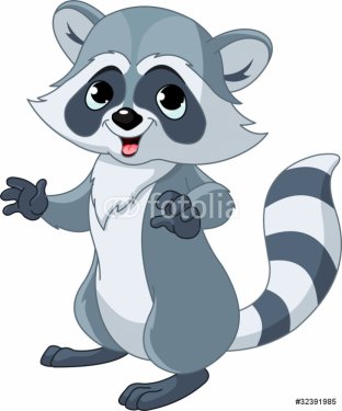 Funny cartoon raccoon