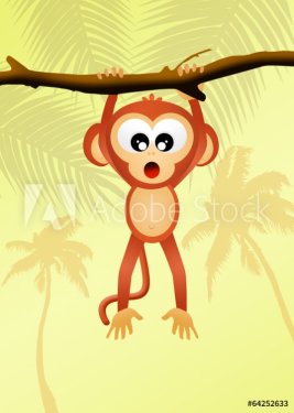funny monkey - 901143925