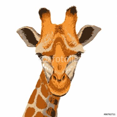 giraffe face, grunge - 901146942