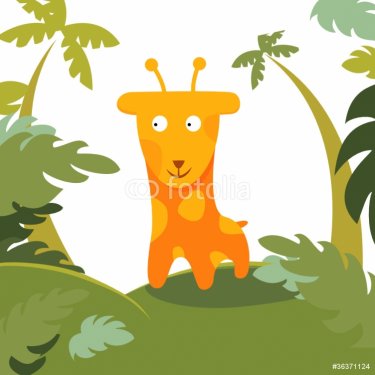 giraffe in forest - 900498566