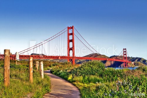 Golden Gate bridge - 901139945