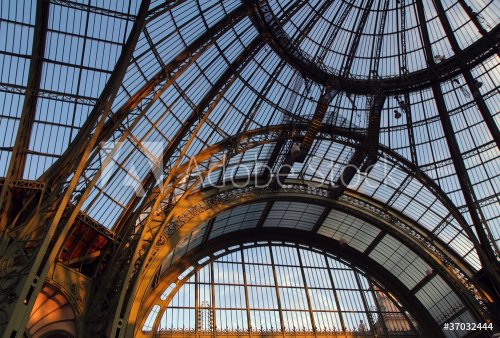 Grand Palais, verrière, Paris - 900062422