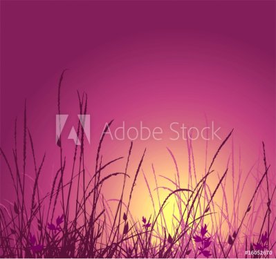 grass vector silhouette and sunset - 901137943