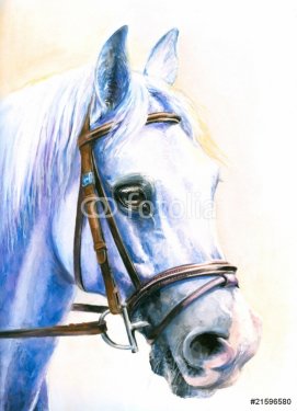 Gray horse watercolor painted. - 900458867