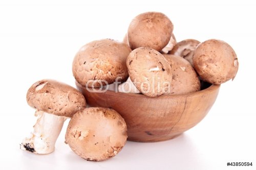 group of mushrooms - 900623257