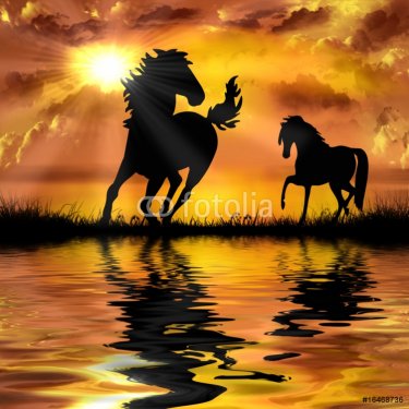 horse on a beautiful sunset background - 900458843