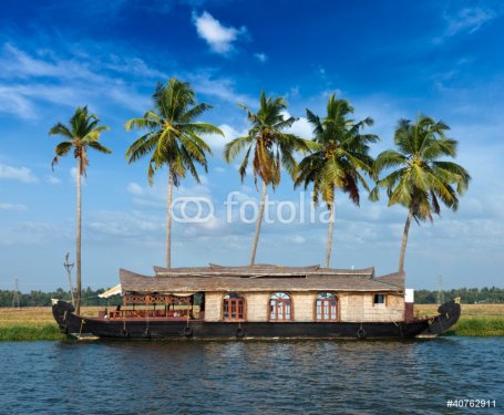 Houseboat on Kerala backwaters, India - 900349343