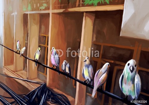 illustration digital painting birds